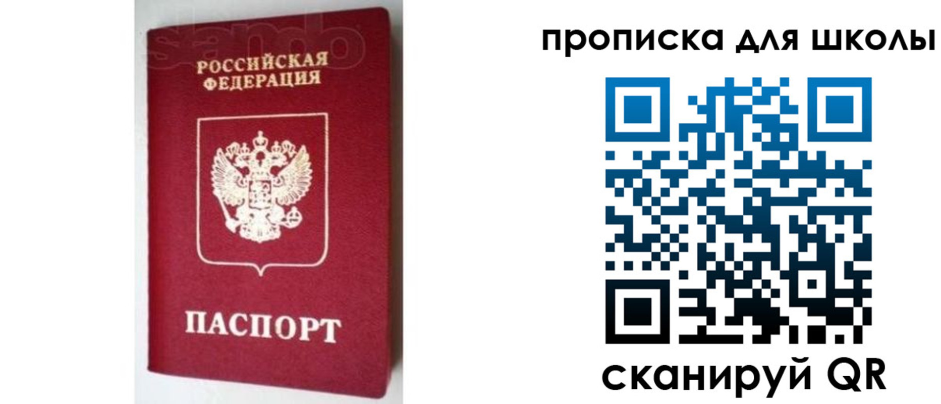 временная регистрация в квартире в Светлогорске